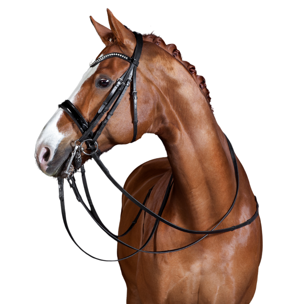 Almartigon para caballo