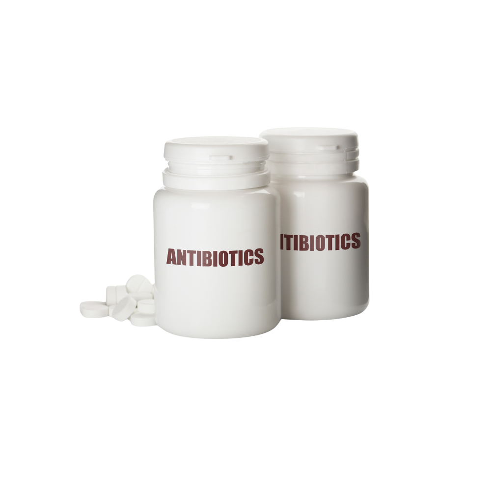 Antibioticos para mascota