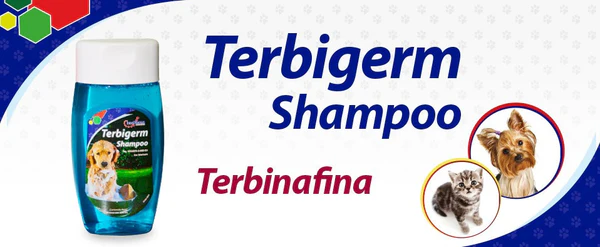 Champú Terbigerm 250 ml