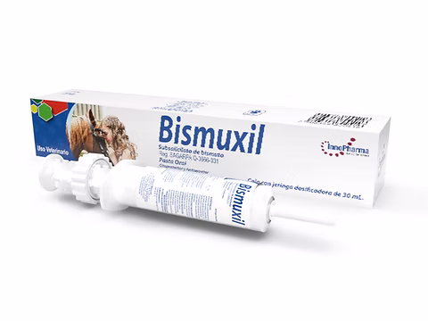 Bismuxil Pets pasta 30 mL